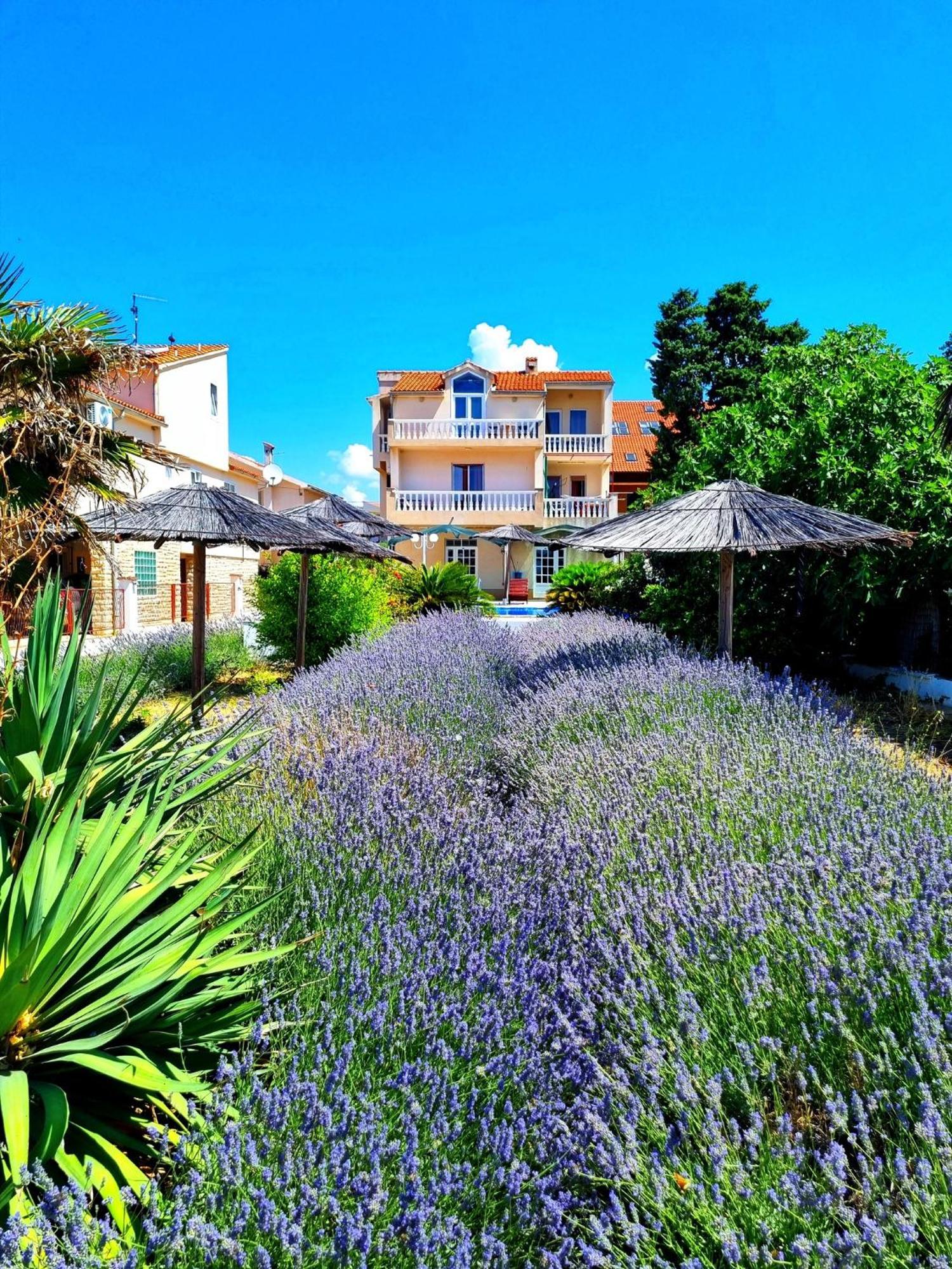 Villa Lana Tribalj Dış mekan fotoğraf